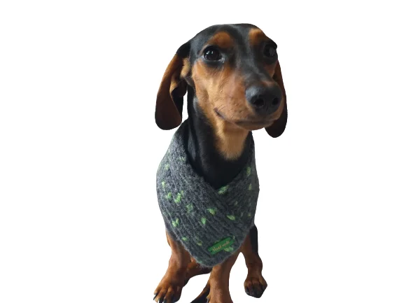 - Elderly dog joint care mattressHandmade wool knitted dog scarf, bandana scarf dog, Knitted Warm Wool Pet Scarf, Dog Scarf Clothes, Christmas dog, Winter Dog Accessories - Elderly dog joint care mattressHandmade wool knitted dog scarf, bandana scarf dog, Knitted Warm Wool Pet Scarf, Dog Scarf Clothes, Christmas dog, Winter Dog Accessories
