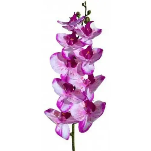 042