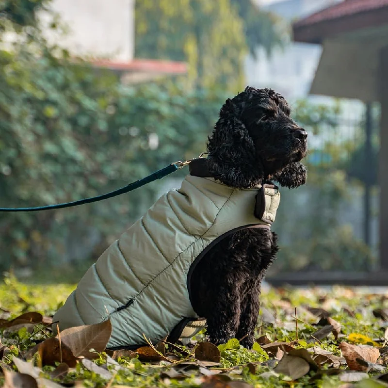 - Pet vitamin complex nutrition tabletsDear Pet Quilted Jacket for Dogs (Mint)