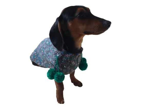 - Pet smart GPS locatorWool aran sweater for mini dachshund or small dog, dachshund puppy sweater, terrier sweater, small dog sweater - Pet smart GPS locatorWool aran sweater for mini dachshund or small dog, dachshund puppy sweater, terrier sweater, small dog sweater
