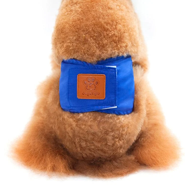 -Non-contact cat thermometerKUTKUT Male Dog Wrap Reusable Dog Diaper | Male Belly Band Washable Diaper | Physiological Sanitary Pant Curtesy Harassment Pant, Anti Urinary for Small Boy Dogs Cats (Blue) -Non-contact cat thermometerKUTKUT Male Dog Wrap Reusable Dog Diaper | Male Belly Band Washable Diaper | Physiological Sanitary Pant Curtesy Harassment Pant, Anti Urinary for Small Boy Dogs Cats (Blue)