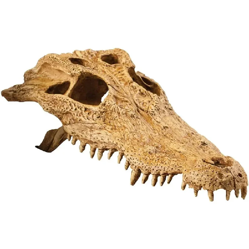 ---Exo Terra Terrarium Crocodile Skull Decoration