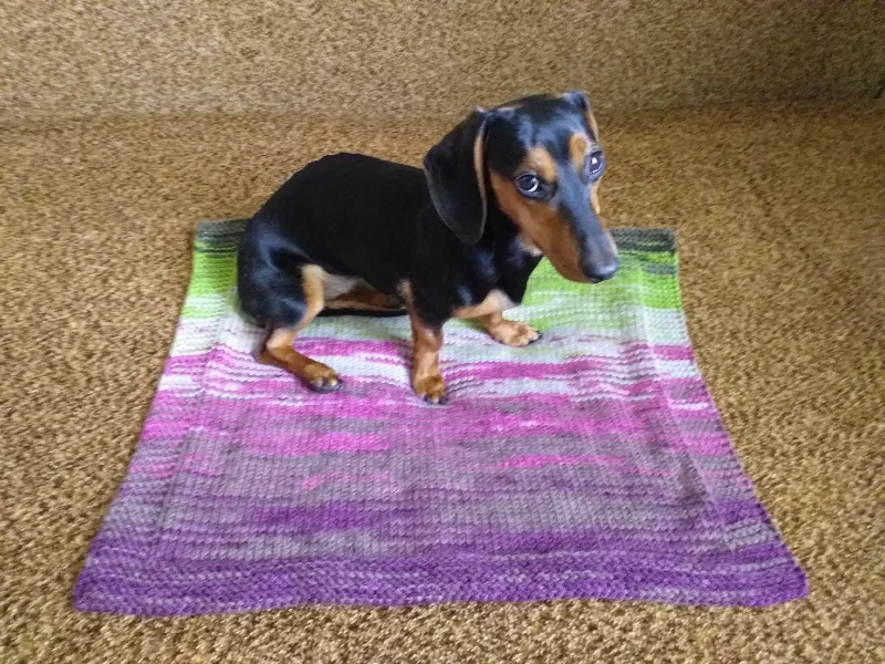 - Dog disposable foam shower gelHandmade knitted wool blanket for dog, cat, dachshund, cozy warm pet wool blanket, knitted blanket for dogs or cats - Dog disposable foam shower gelHandmade knitted wool blanket for dog, cat, dachshund, cozy warm pet wool blanket, knitted blanket for dogs or cats