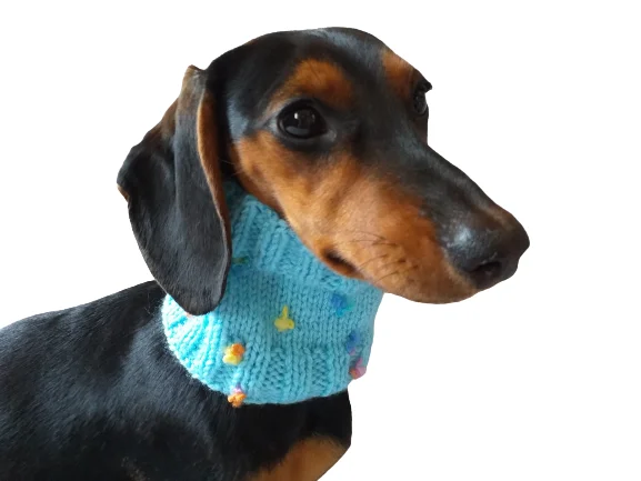 - Dog heart rate monitoring collarButterfly flower dog snood scarf dog warm scarf winter clothes dog accessories fashion dog scarf puppy clothes - Dog heart rate monitoring collarButterfly flower dog snood scarf dog warm scarf winter clothes dog accessories fashion dog scarf puppy clothes