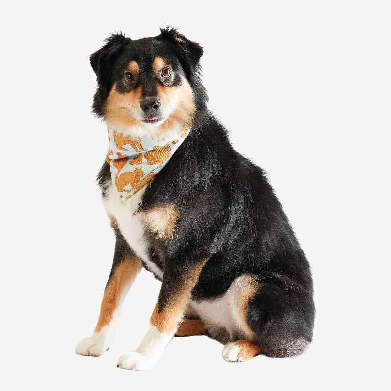 Pet Productsdoggie bandana | squirrels | organic cotton interlock